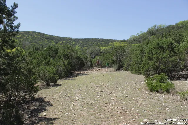 1976 W cedar creek Leakey, TX 78873