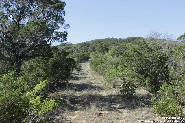 1976 W cedar creek Leakey, TX 78873