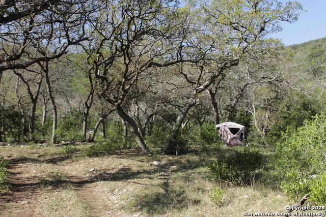 1976 W cedar creek Leakey, TX 78873