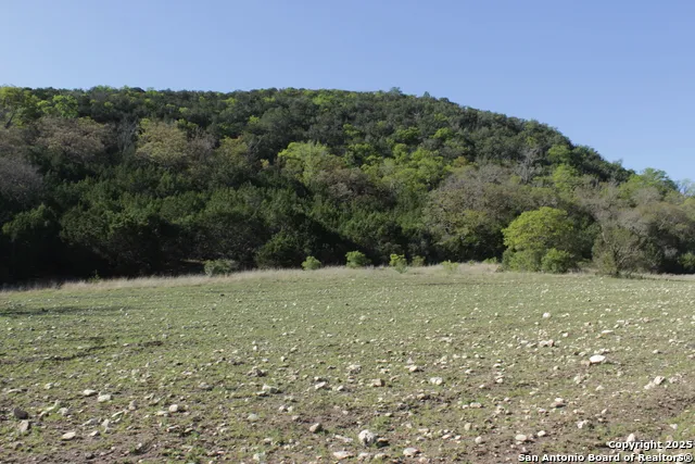 1976 W cedar creek Leakey, TX 78873