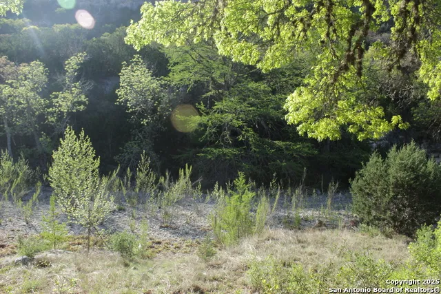 1976 W cedar creek Leakey, TX 78873