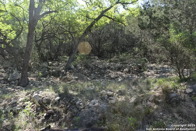 1976 W cedar creek Leakey, TX 78873