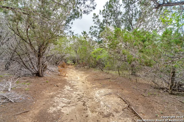 TBD 37 ACRES Elm Pass Bandera, TX 78003