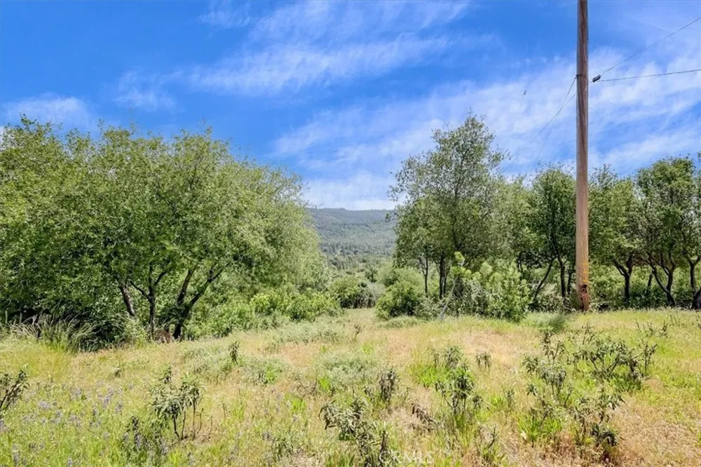 23 Clark Ranch Way Dobbins, CA 95935