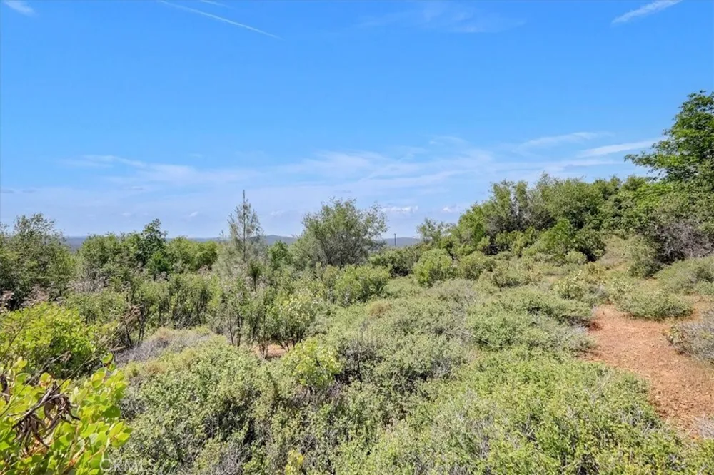23 Clark Ranch Way Dobbins, CA 95935