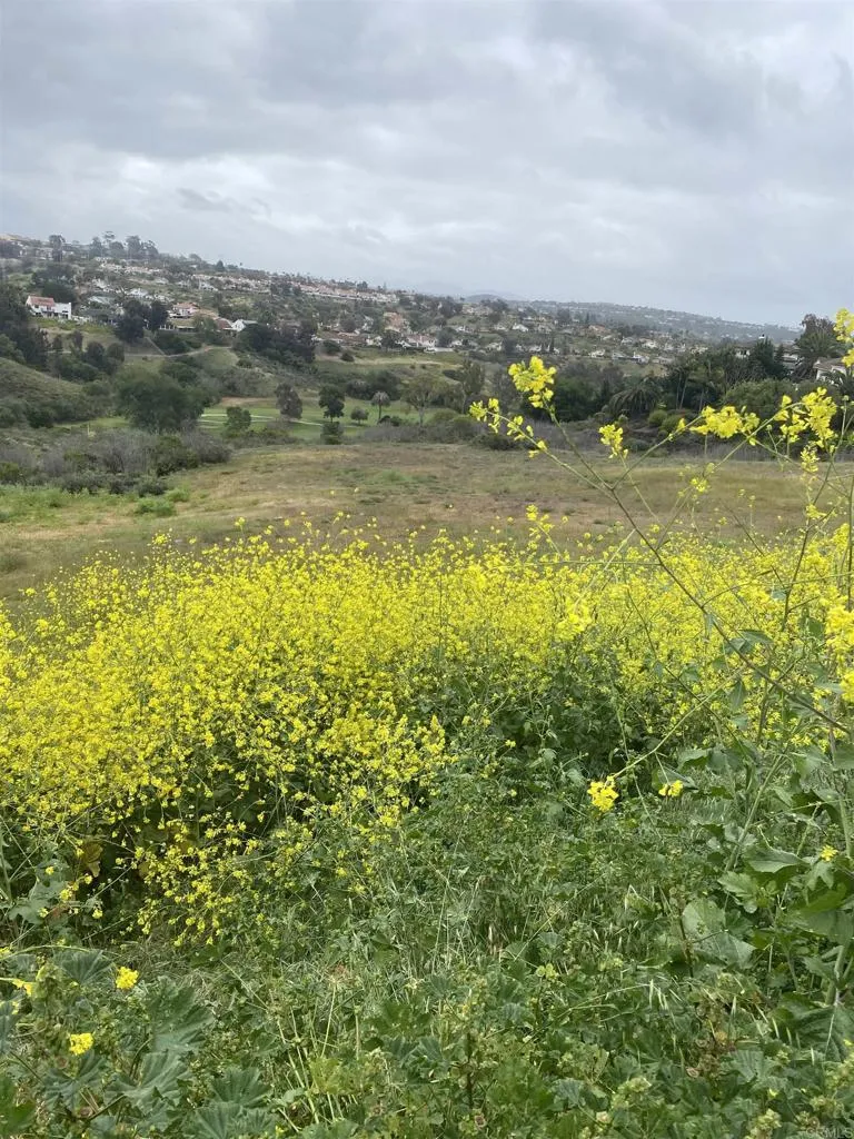 Oceanview Road Oceanside, CA 92056