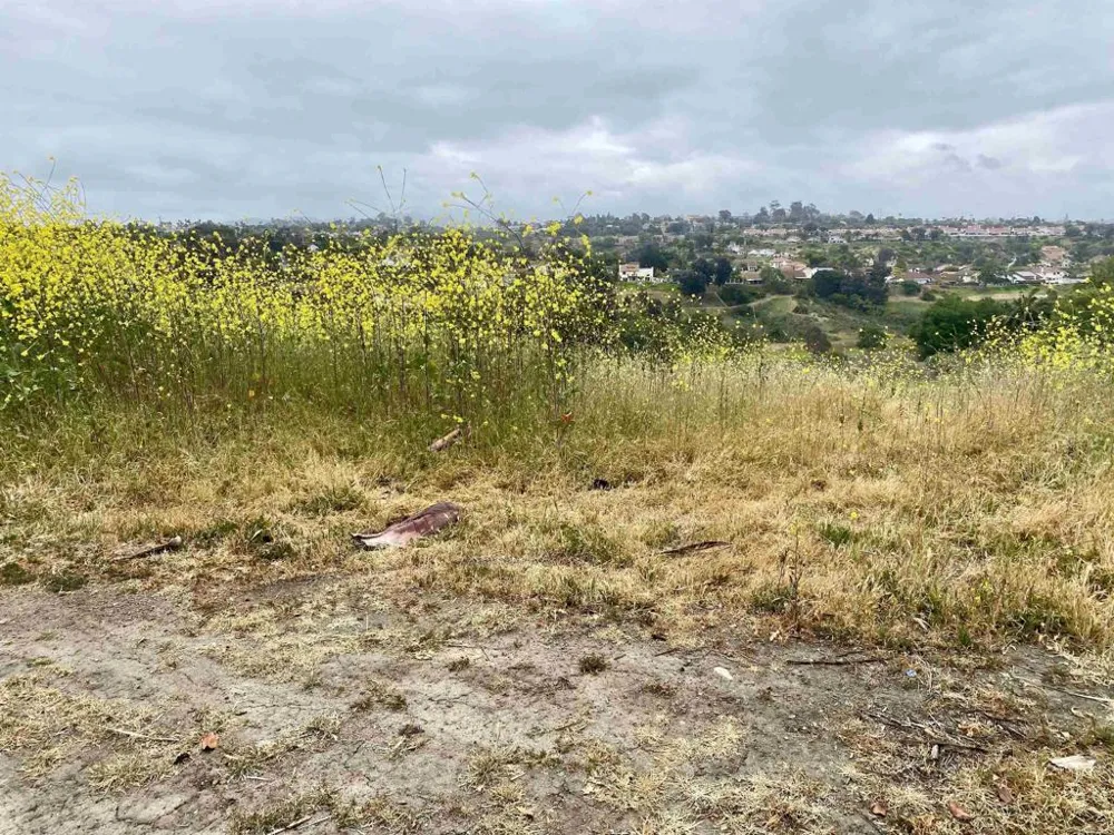 Oceanview Road Oceanside, CA 92056