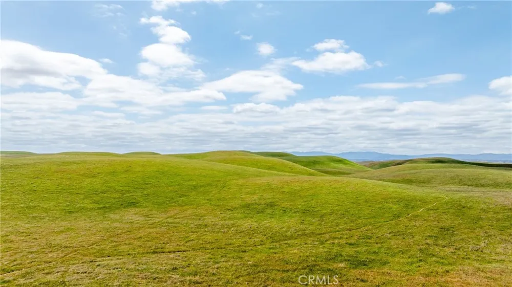 8050 Bitterwater Road Shandon, CA 93461
