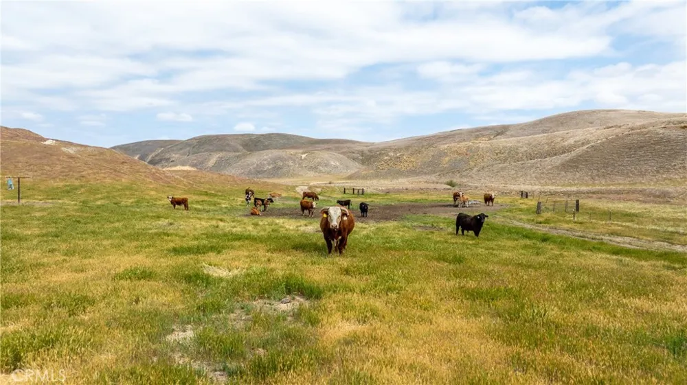 8050 Bitterwater Road Shandon, CA 93461