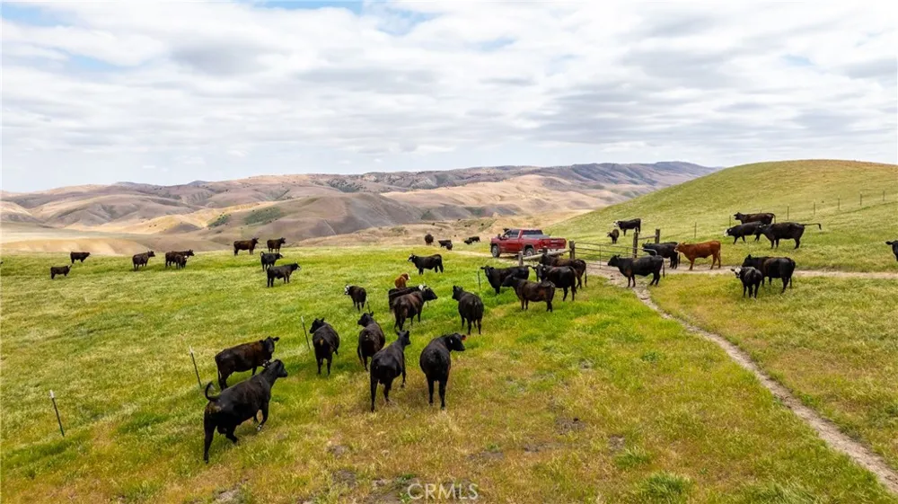 8050 Bitterwater Road Shandon, CA 93461