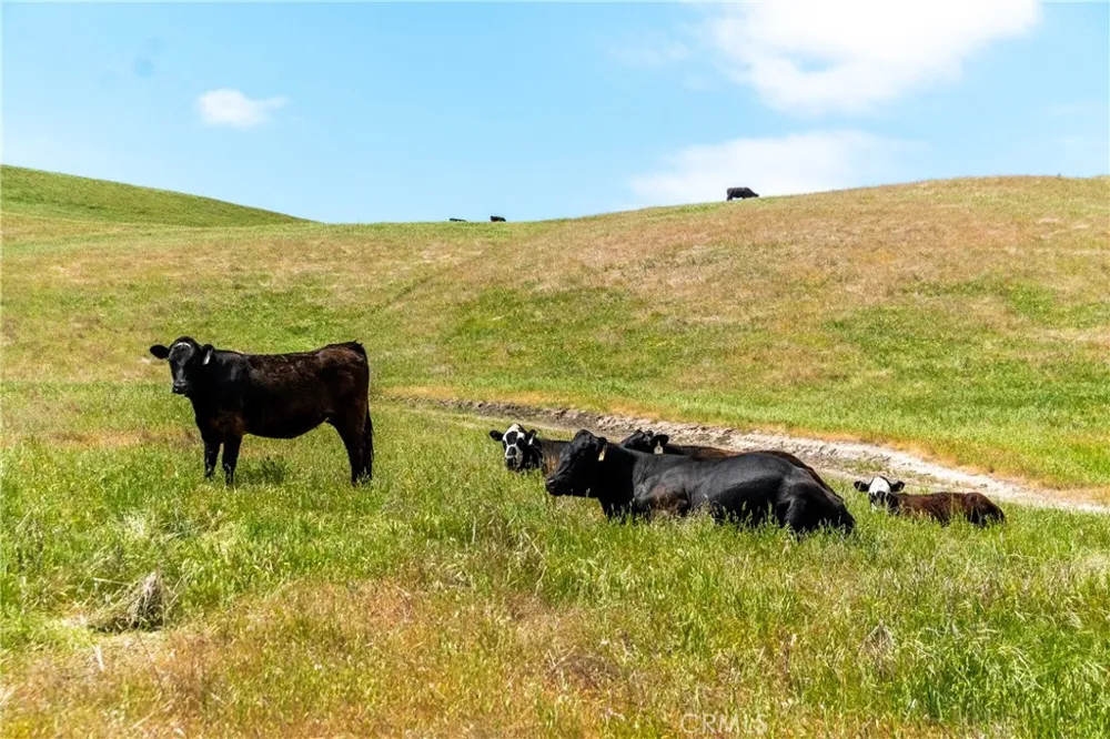 8050 Bitterwater Road Shandon, CA 93461