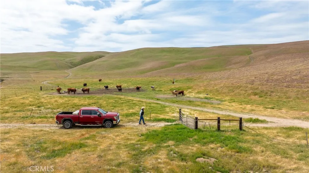 8050 Bitterwater Road Shandon, CA 93461