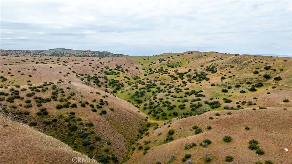 8050 Bitterwater Road Shandon, CA 93461
