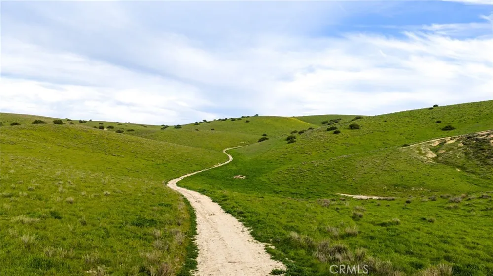 8050 Bitterwater Road Shandon, CA 93461