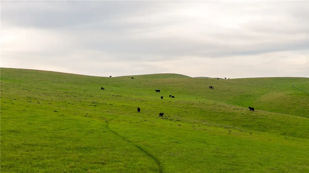 8050 Bitterwater Road Shandon, CA 93461