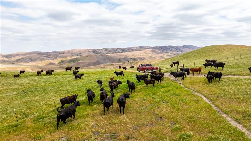 8050 Bitterwater Road Shandon, CA 93461