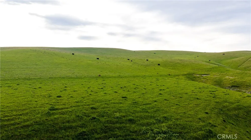 8050 Bitterwater Road Shandon, CA 93461