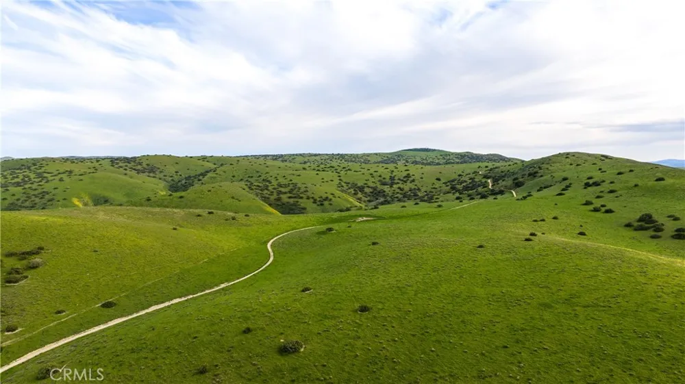 8050 Bitterwater Road Shandon, CA 93461