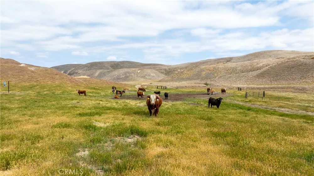 8050 Bitterwater Road Shandon, CA 93461