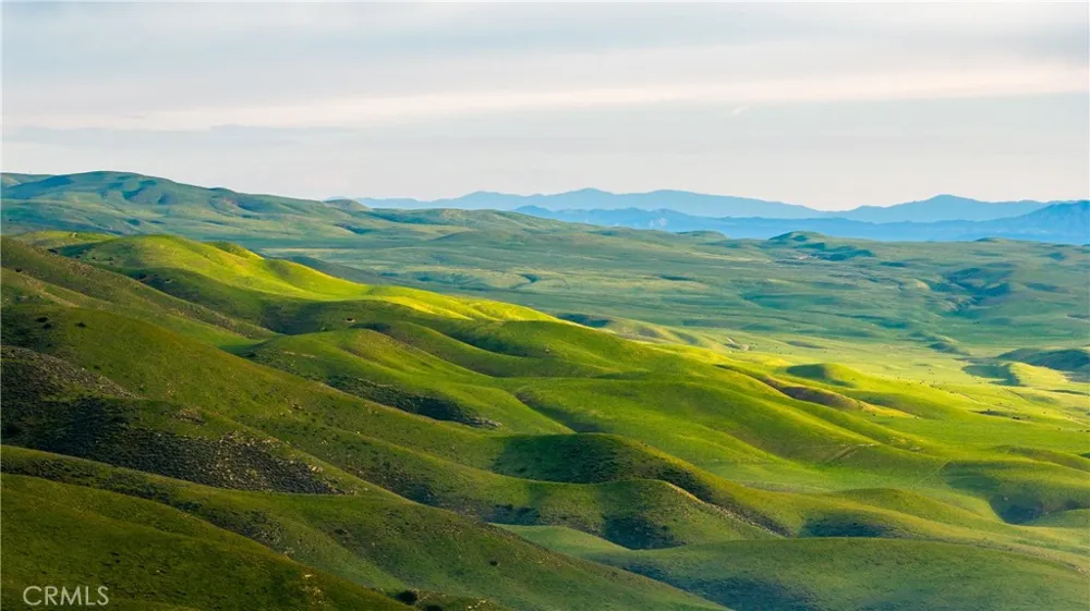 8050 Bitterwater Road Shandon, CA 93461
