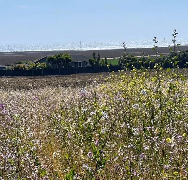 Bluff Road Moss Landing, CA 95039