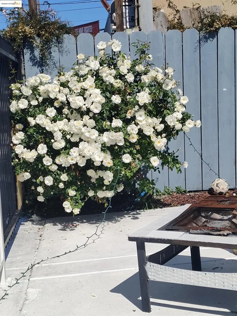 3532 San Leandro St Oakland, CA 94601