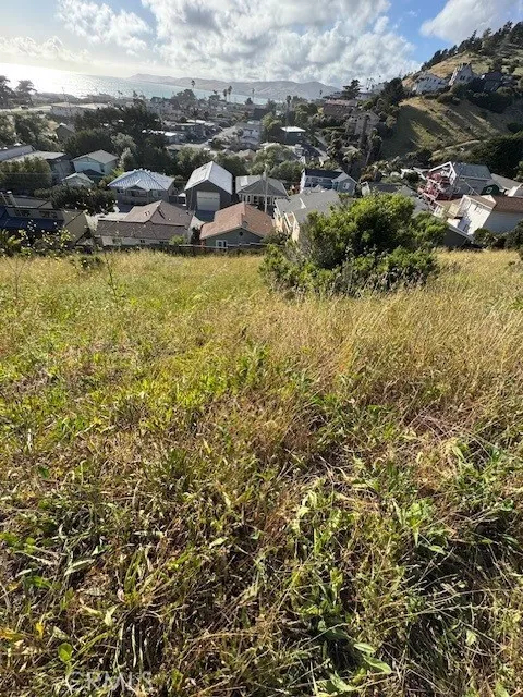 325 Cerro Gordo Avenue Cayucos, CA 93430