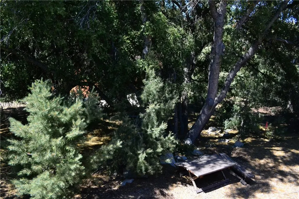 15433 Acacia Way Pine Mountain Club, CA 93225