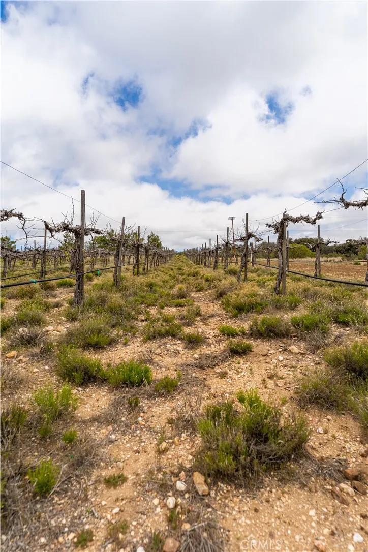 29972 Chihuahua Valley Road Warner Springs, CA 92086