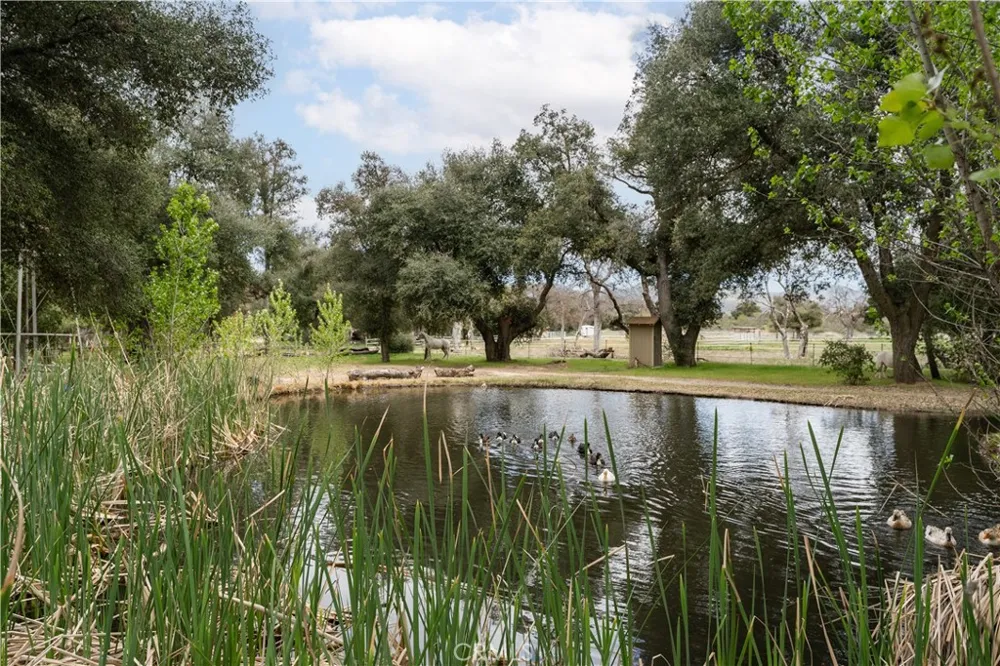 29972 Chihuahua Valley Road Warner Springs, CA 92086