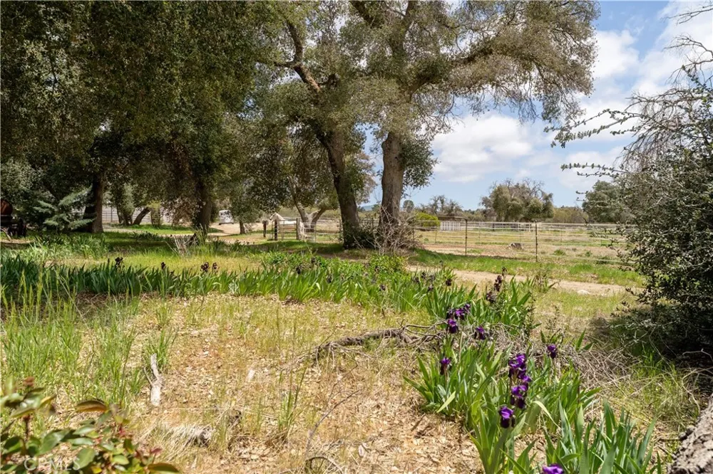 29972 Chihuahua Valley Road Warner Springs, CA 92086