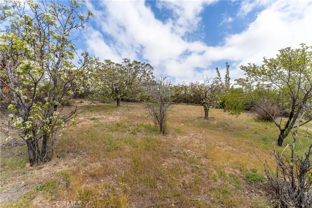 29972 Chihuahua Valley Road Warner Springs, CA 92086