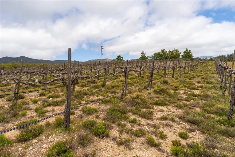 29972 Chihuahua Valley Road Warner Springs, CA 92086