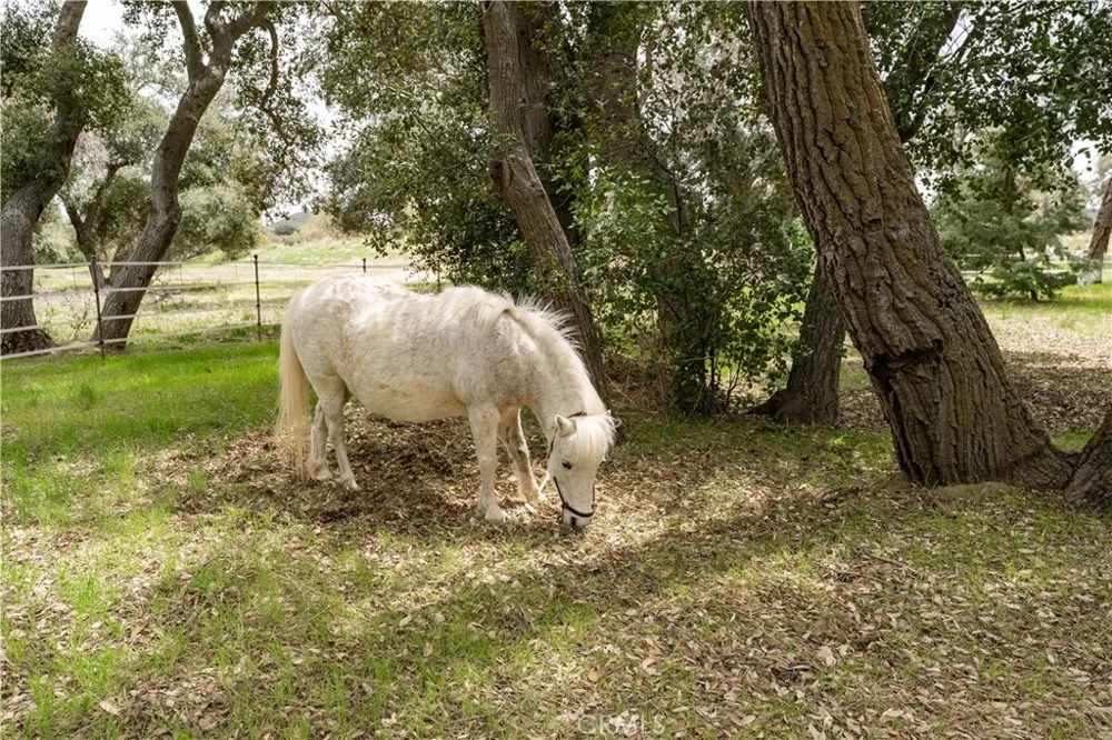 29972 Chihuahua Valley Road Warner Springs, CA 92086