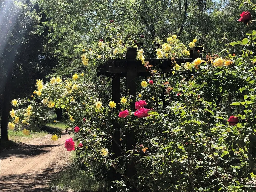 29972 Chihuahua Valley Road Warner Springs, CA 92086