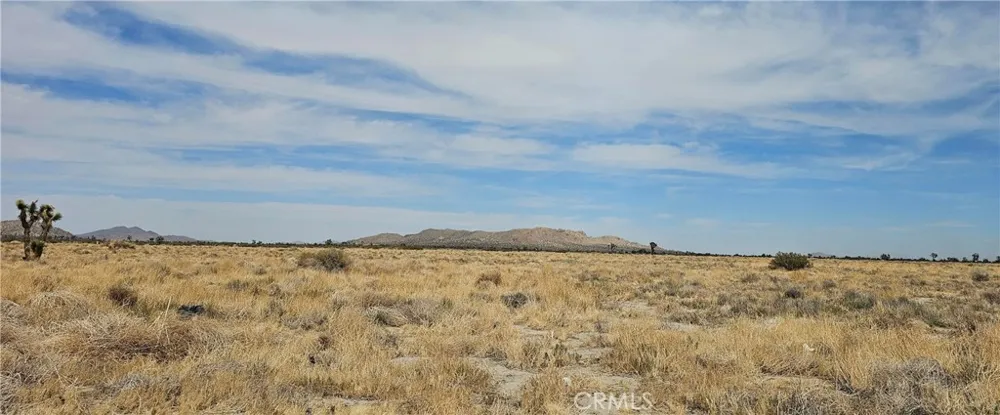 120TH ST E / Avenue P-8