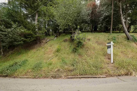 Chelsea Dr