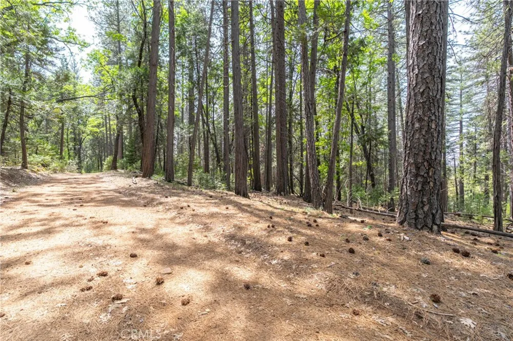 Scotty Ln Forest Ranch, CA 95942