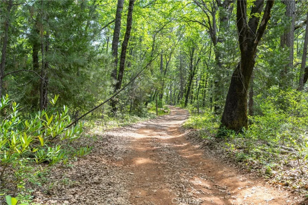 Scotty Ln Forest Ranch, CA 95942