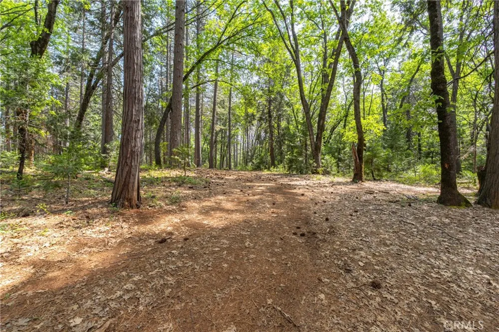 Scotty Ln Forest Ranch, CA 95942