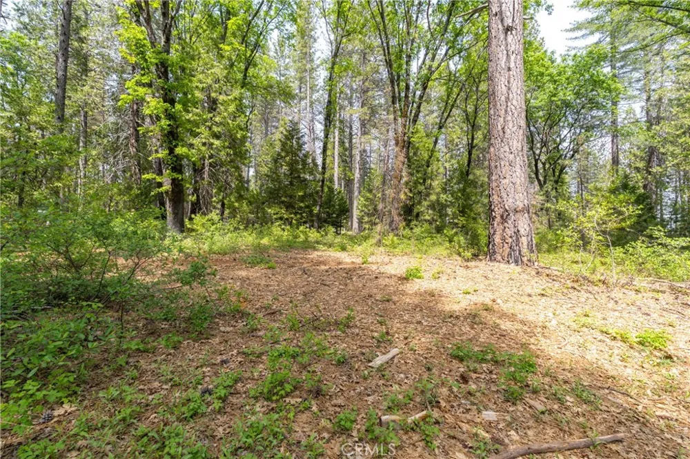 Scotty Ln Forest Ranch, CA 95942