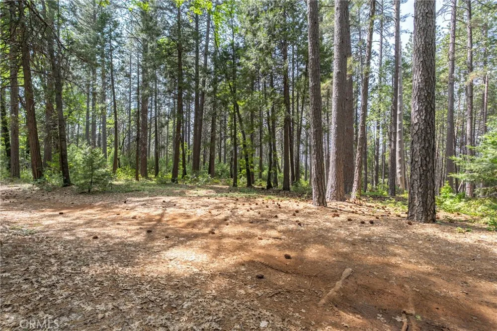 Scotty Ln Forest Ranch, CA 95942