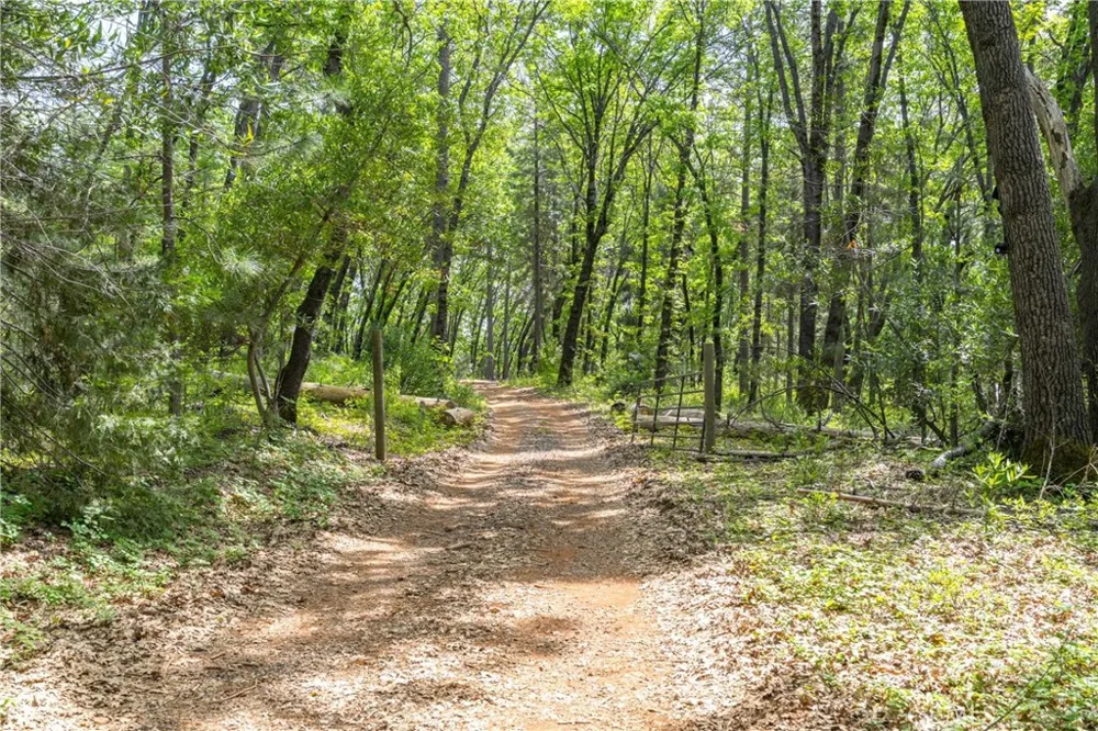 Scotty Ln Forest Ranch, CA 95942