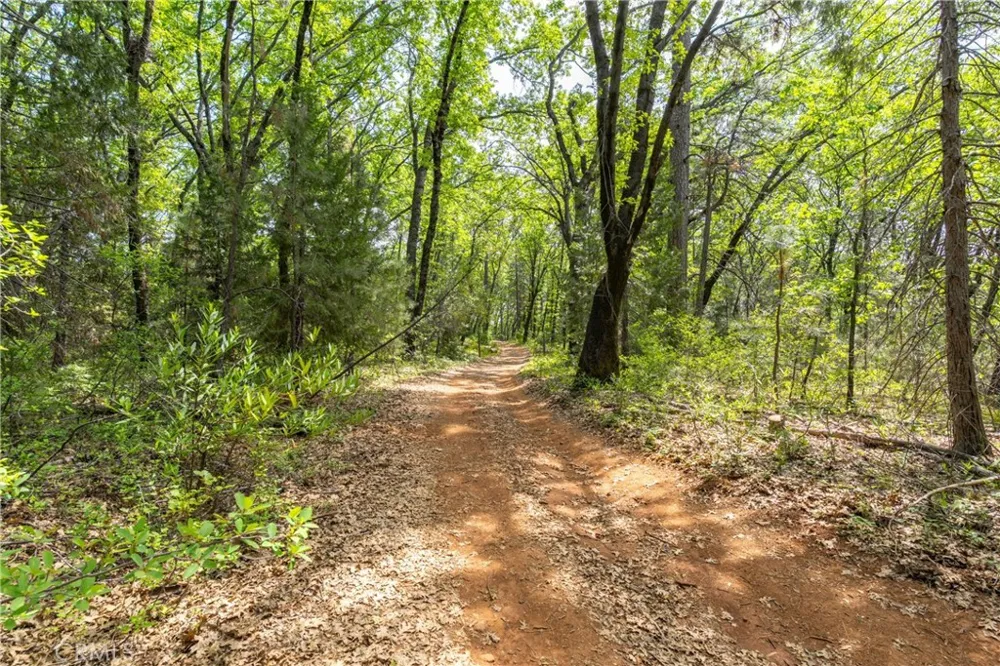 Scotty Ln Forest Ranch, CA 95942