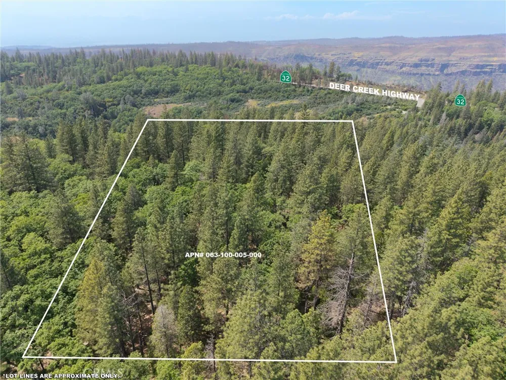 Scotty Ln Forest Ranch, CA 95942