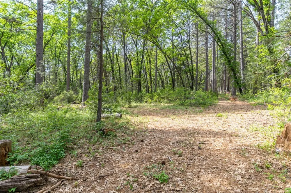 Scotty Ln Forest Ranch, CA 95942