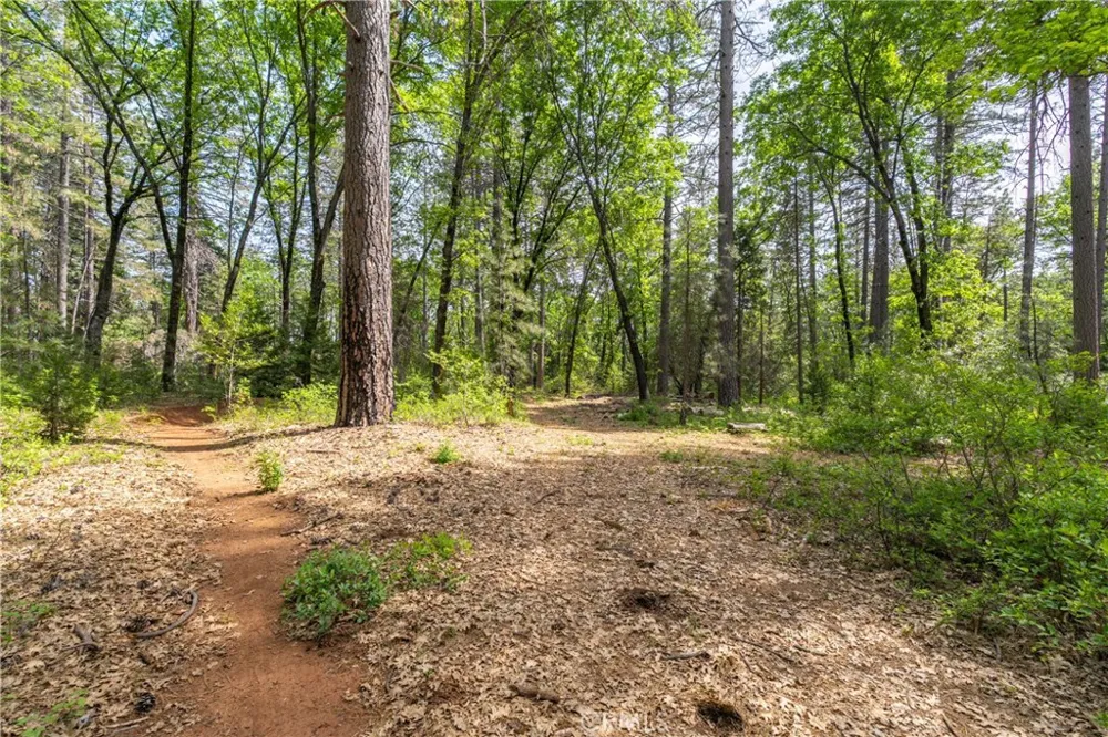 Scotty Ln Forest Ranch, CA 95942
