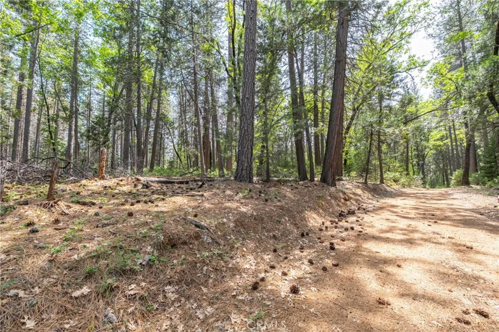 Scotty Ln Forest Ranch, CA 95942