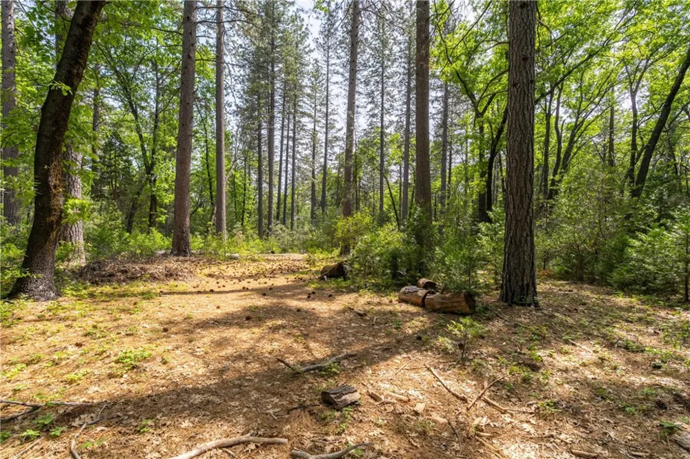 Scotty Ln Forest Ranch, CA 95942