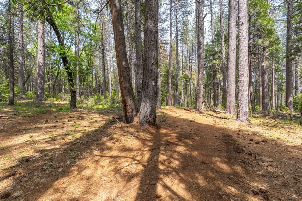 Scotty Ln Forest Ranch, CA 95942